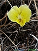 Campo Imperatore-photogallery-P1010107+.jpg